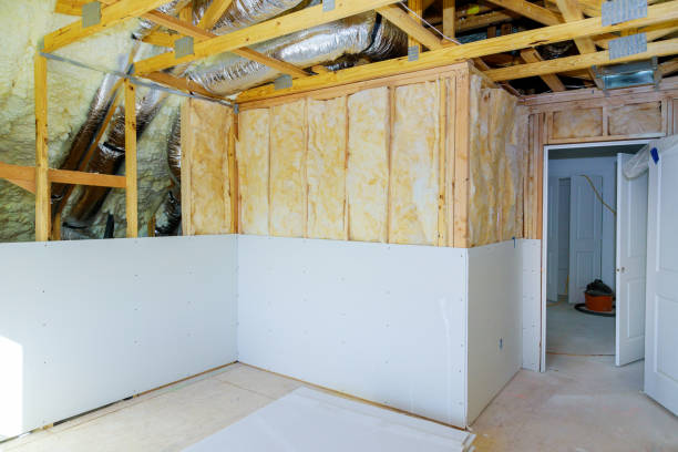 Best Local Insulation Services  in Eagle Pass, TX