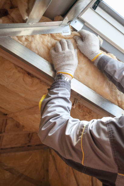 Insulation Inspection Services in Eagle Pass, TX