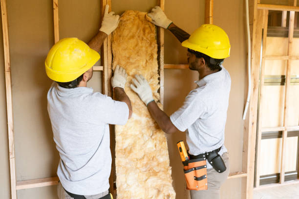 Best Professional Insulation Contractor  in Eagle Pass, TX