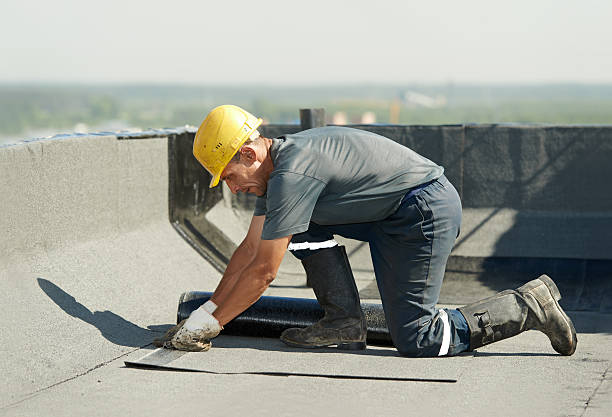 Best Energy-efficient Insulation  in Eagle Pass, TX